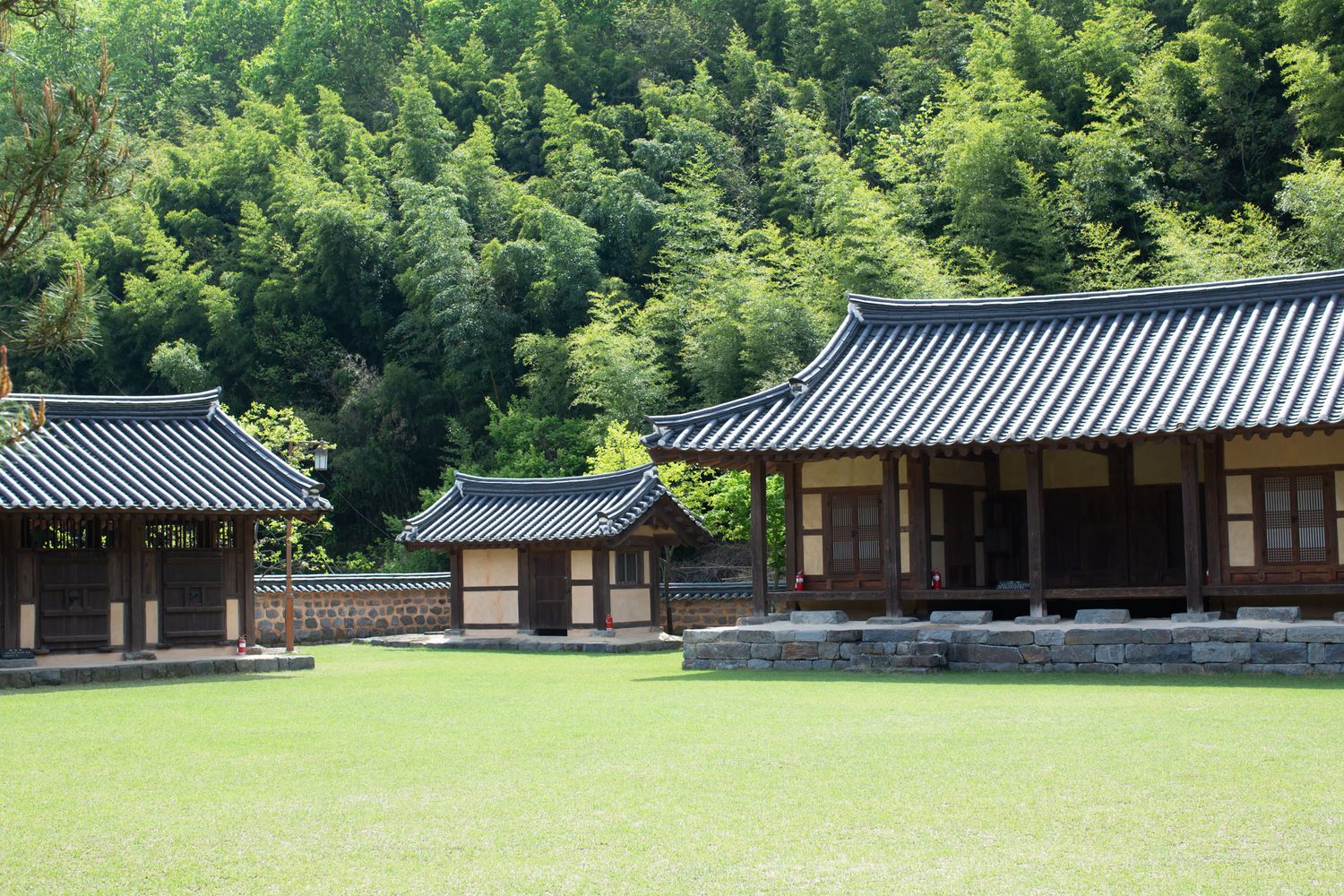 한옥과 산, 넓은 잔디 마당 — 김작가사진이야기펜션