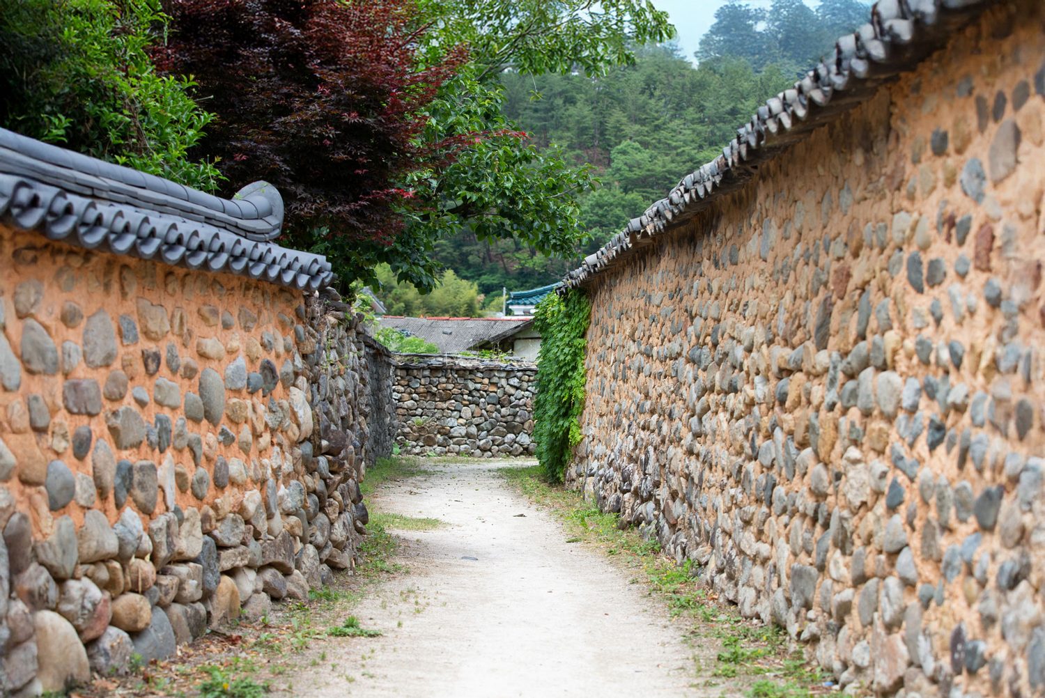 돌담을 따라 난 골목길 — 김작가사진이야기펜션