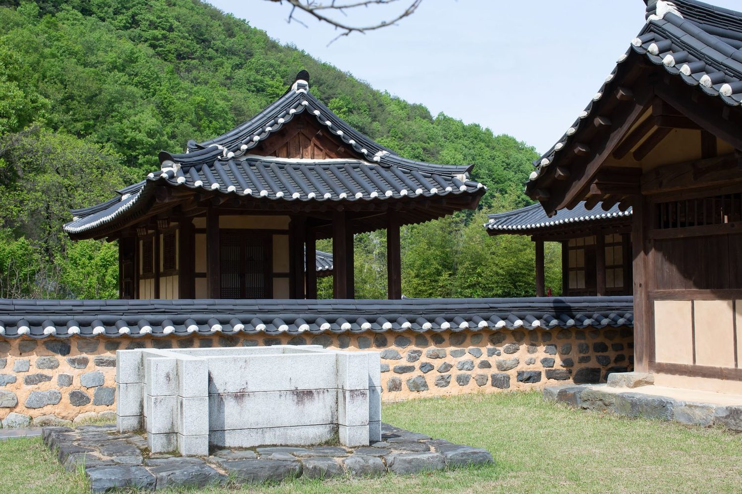 기와지붕 한옥과 잔디, 뒤로 이어진 산 — 김작가사진이야기펜션
