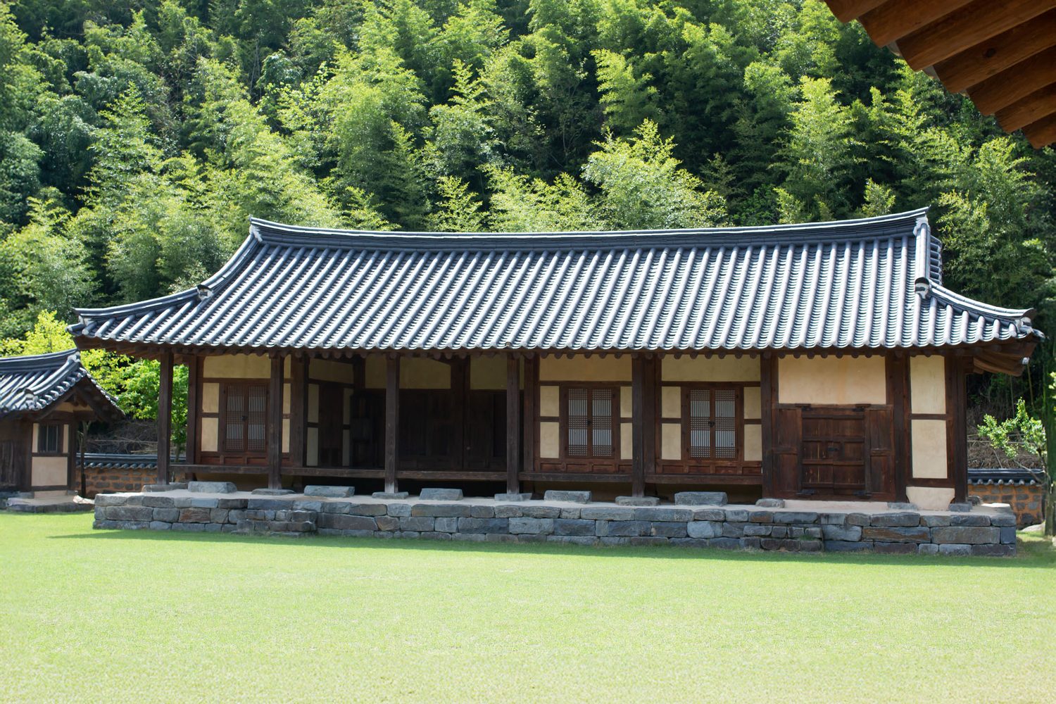 숲을 배경으로 선 기와집과 잔디 — 김작가사진이야기펜션